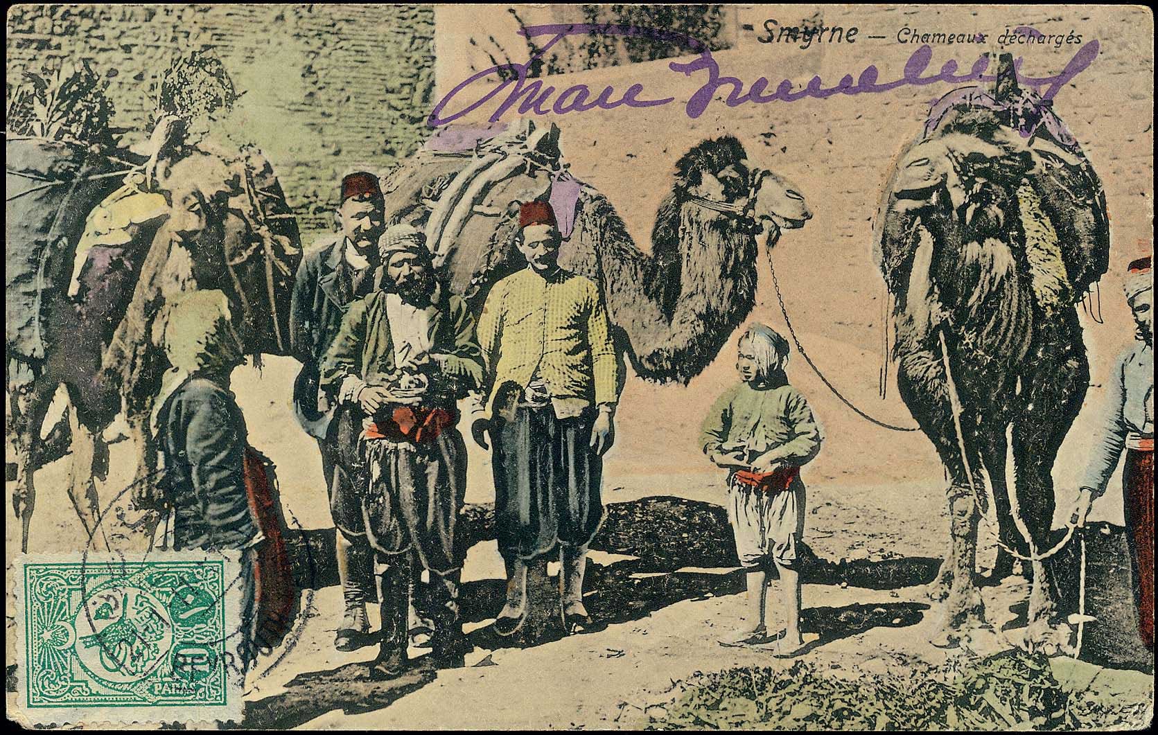 Lot 02445