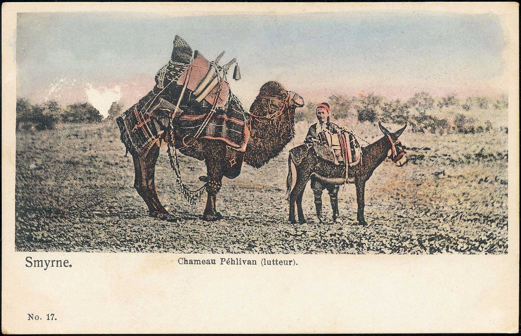 Lot 02389
