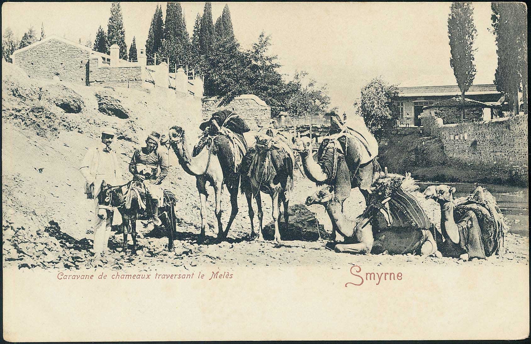 Lot 01731