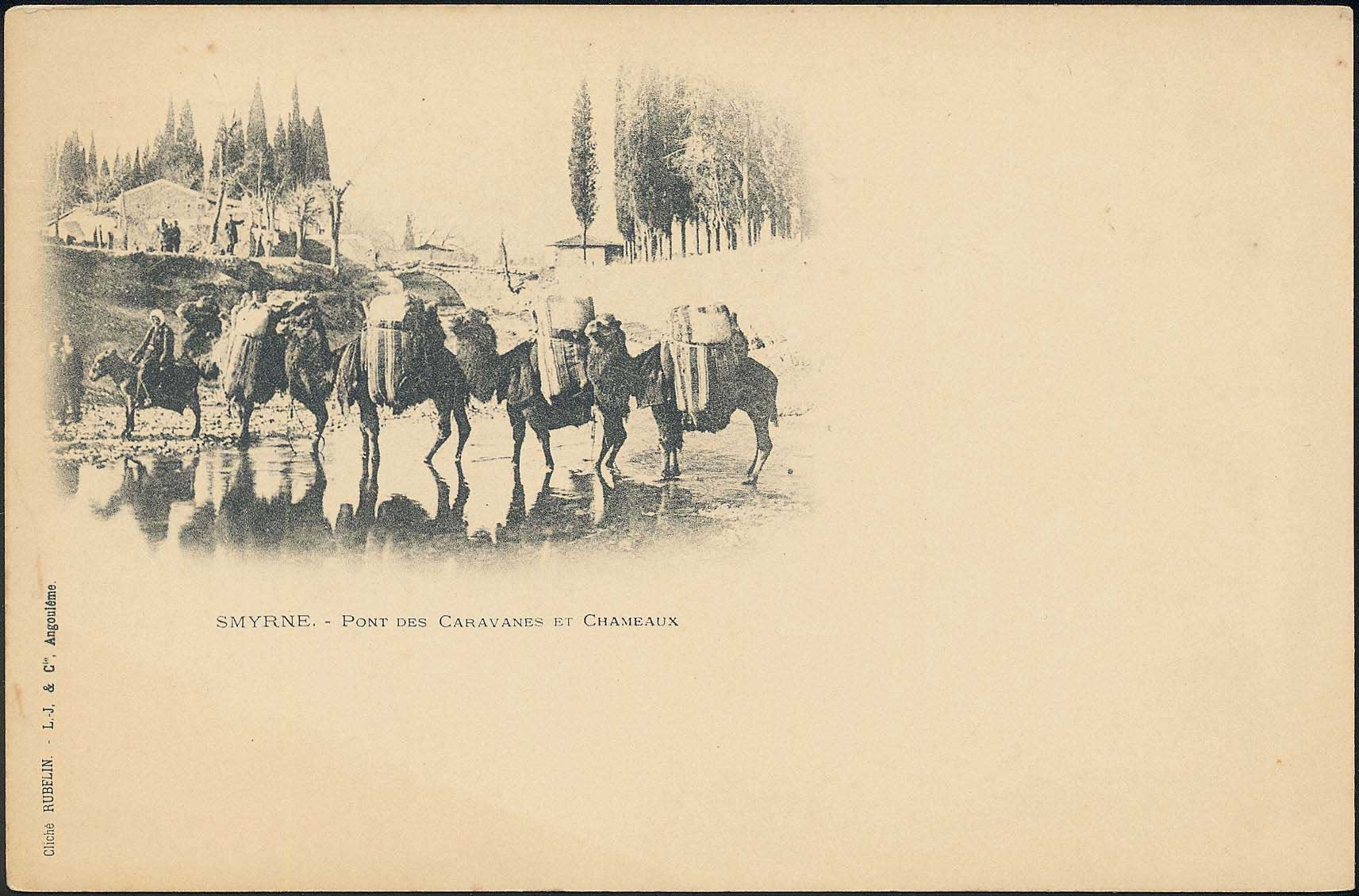 Lot 02470