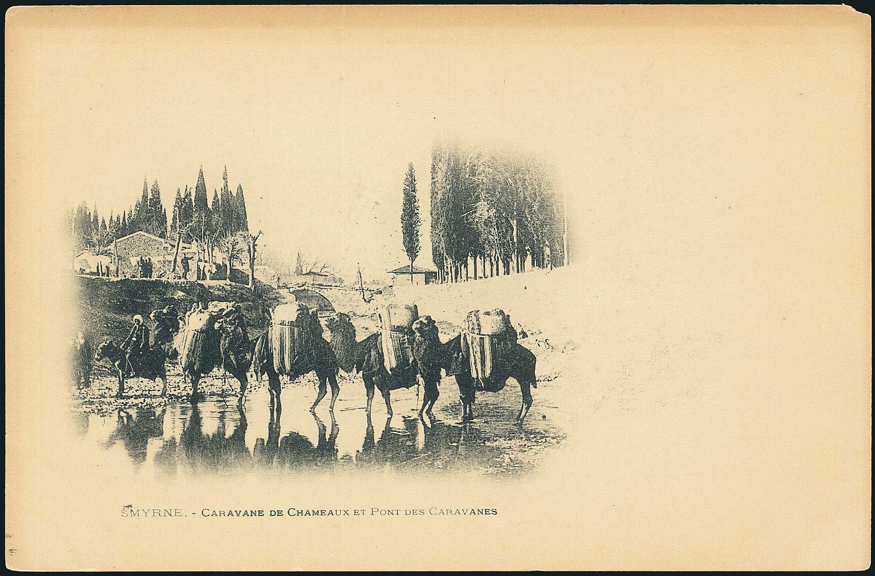 Lot 01813