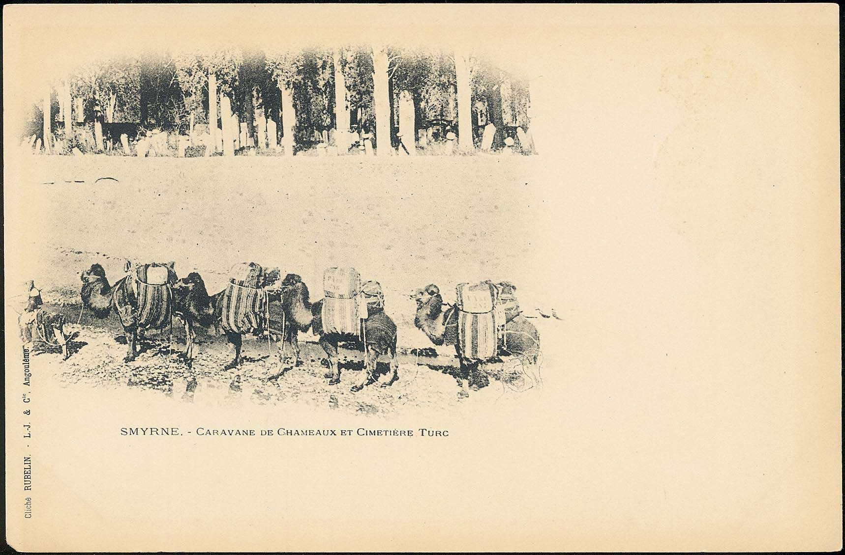 Lot 01736
