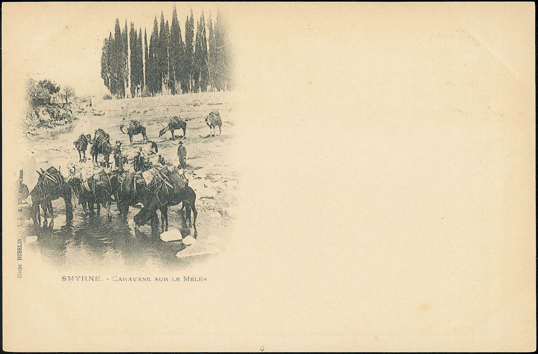 Lot 02469