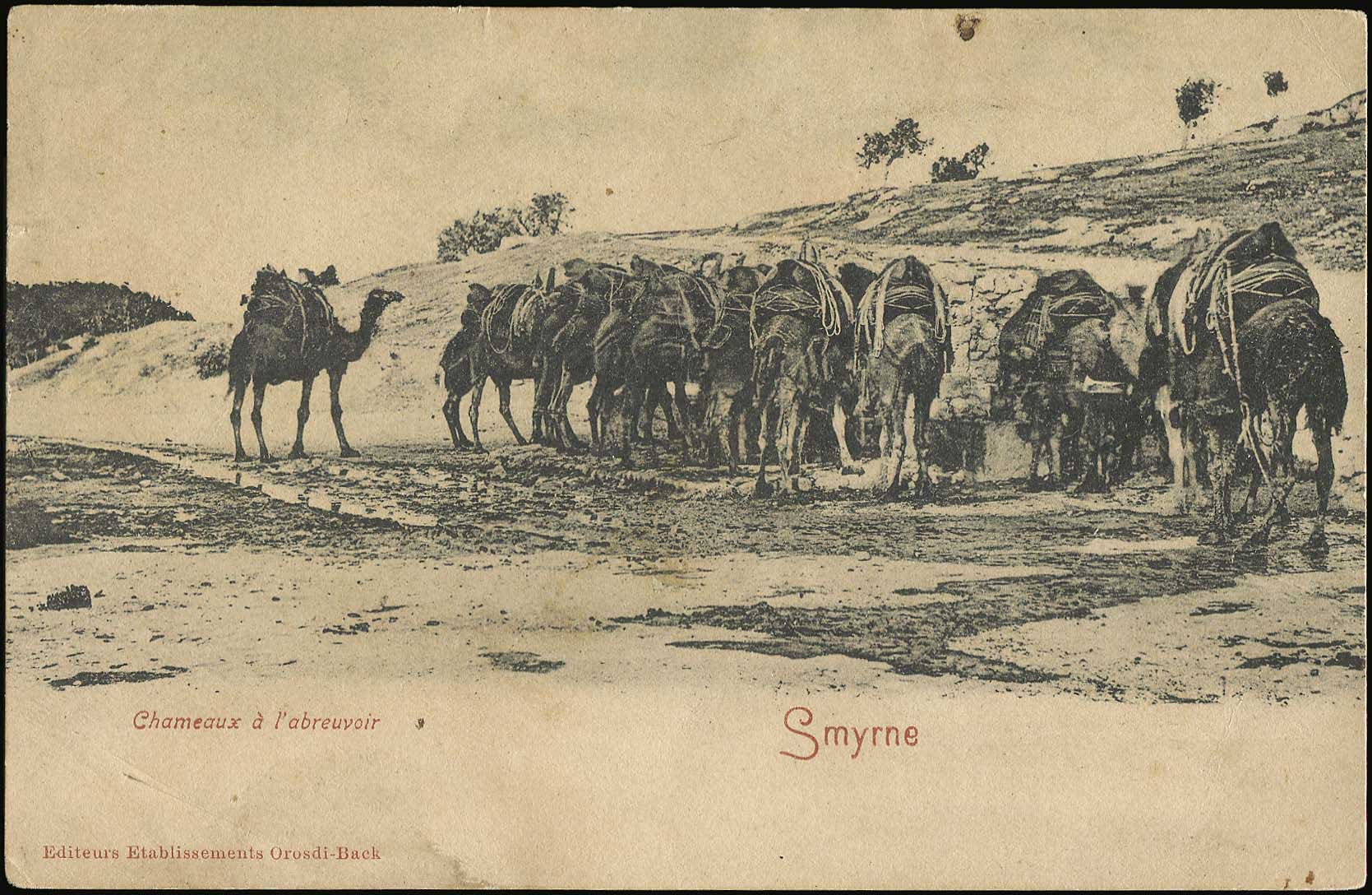 Lot 04176
