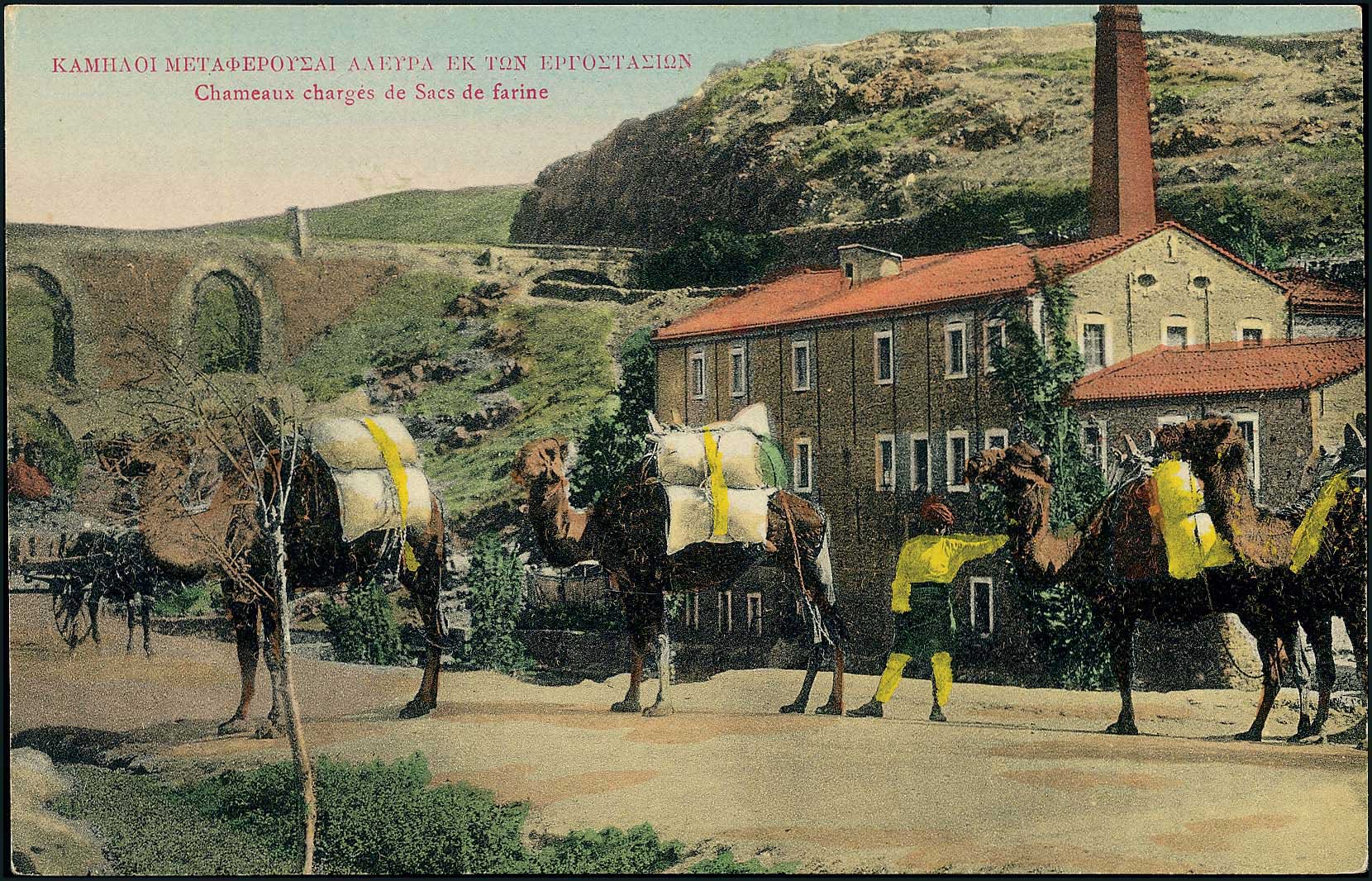 Lot 01682