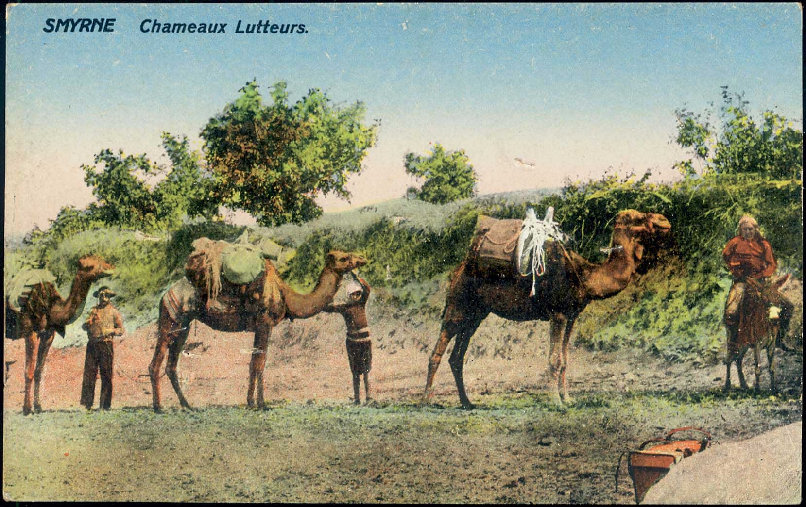 Lot 01681