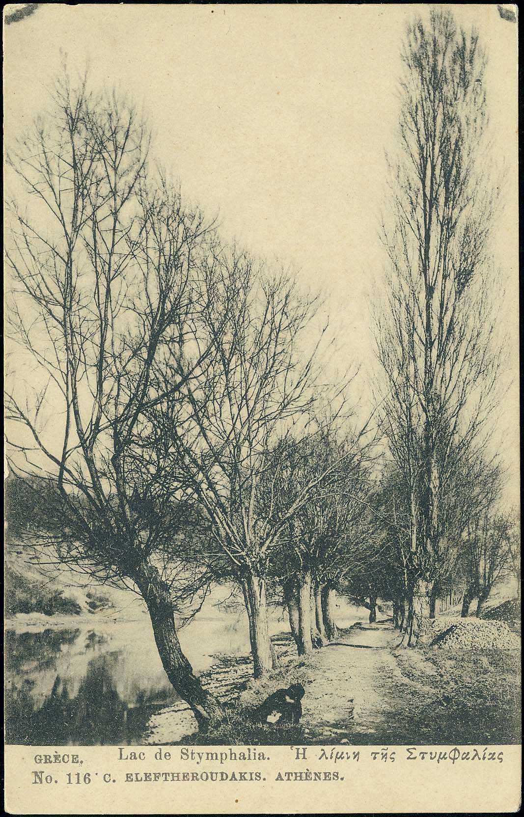 Lot 01484