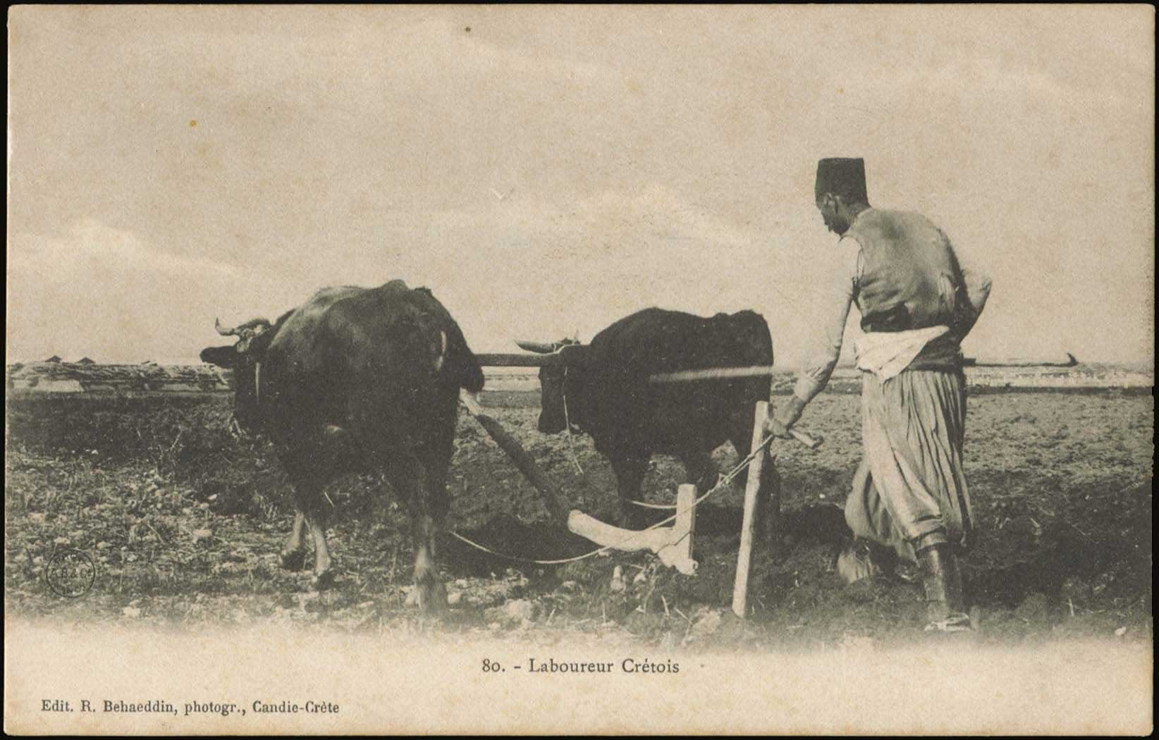 Lot 01835