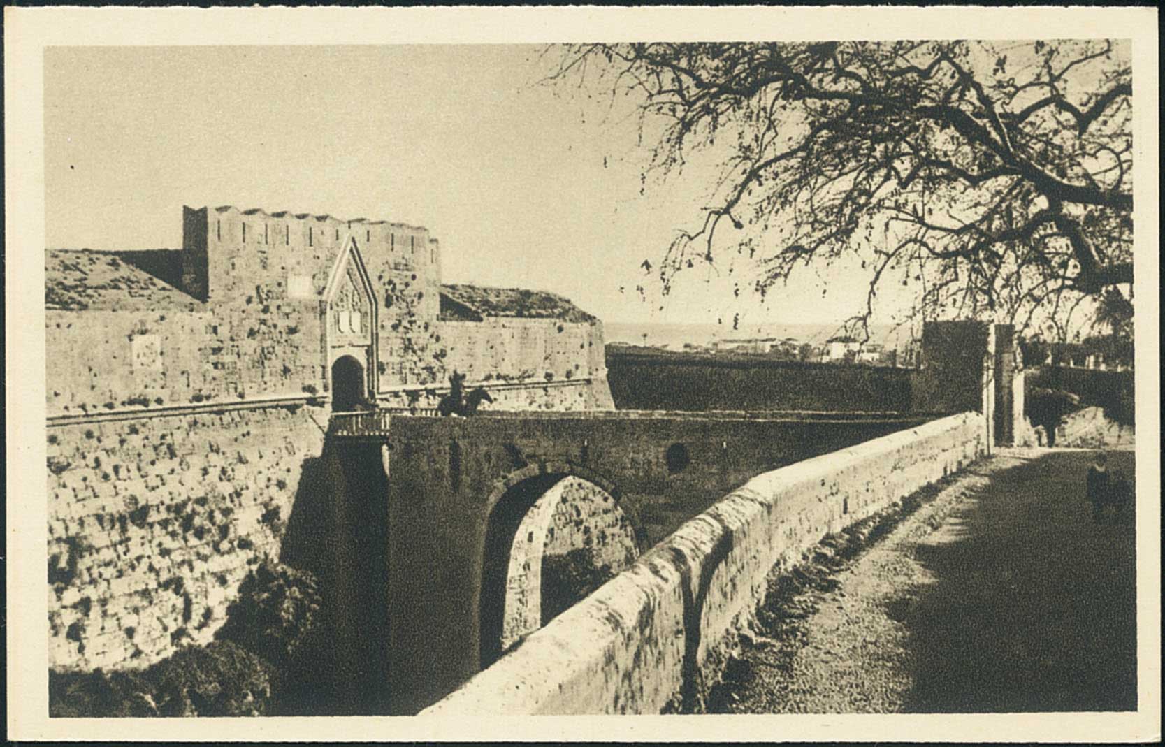 Lot 01338