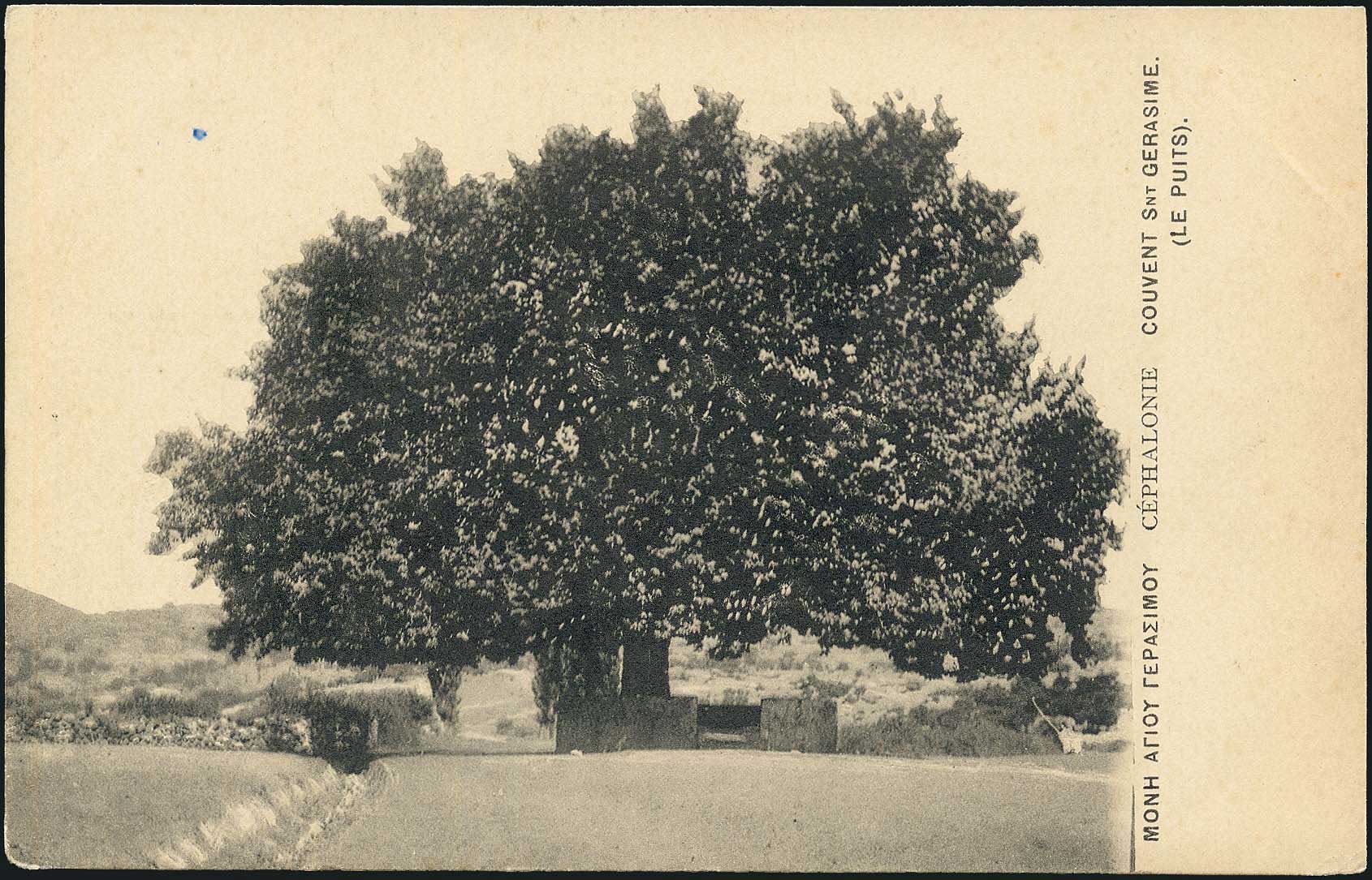 Lot 01695
