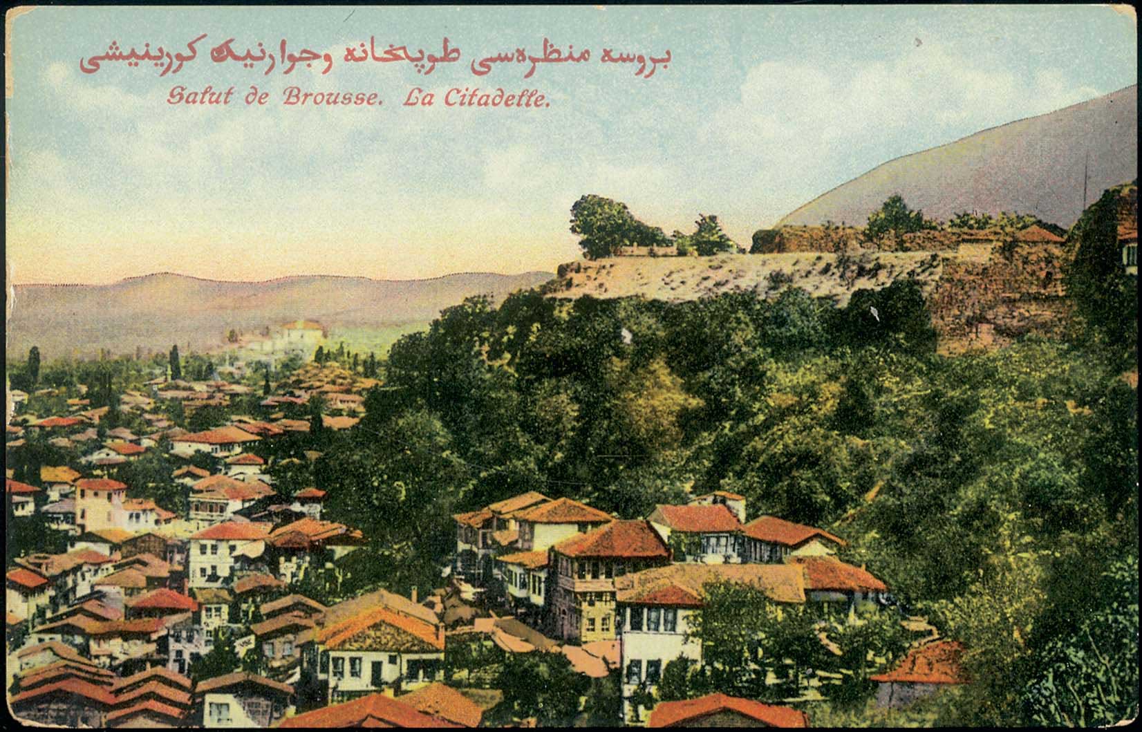 Lot 02407