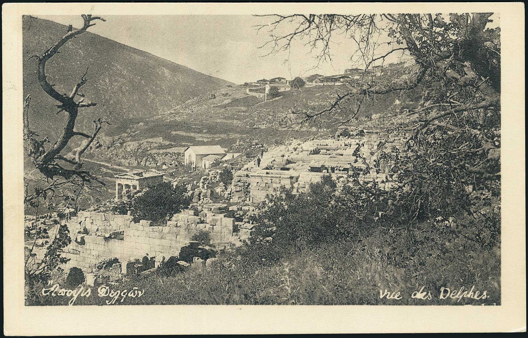 Lot 01561