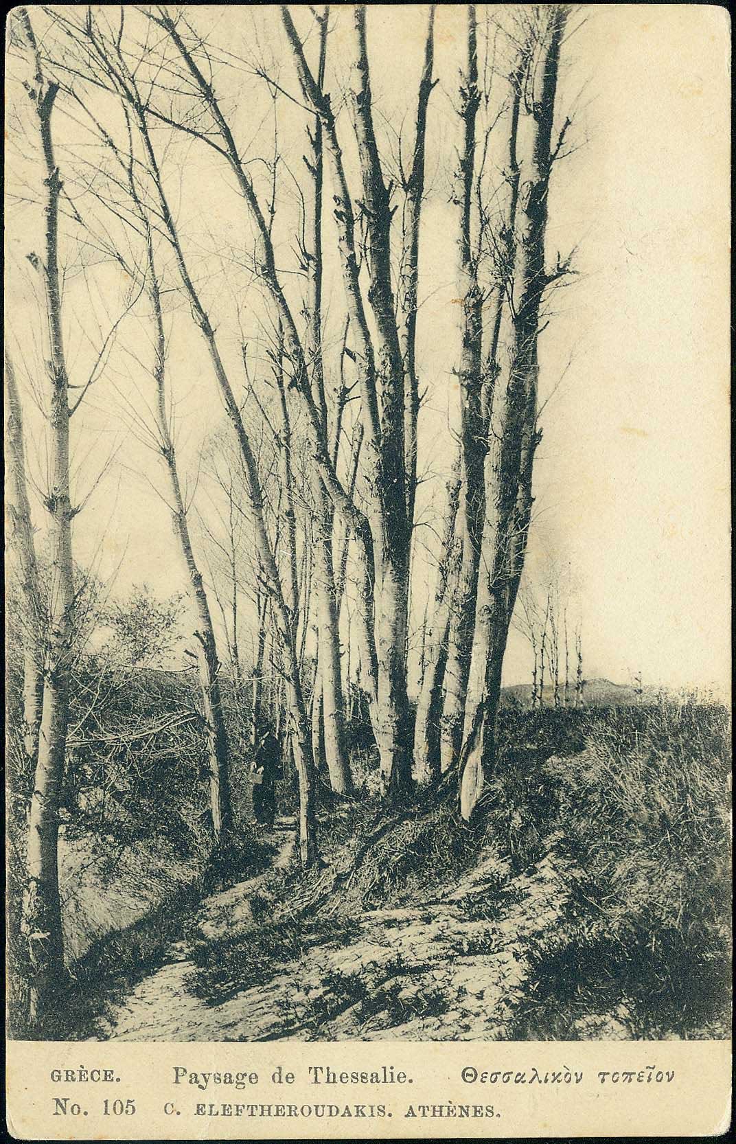 Lot 01763