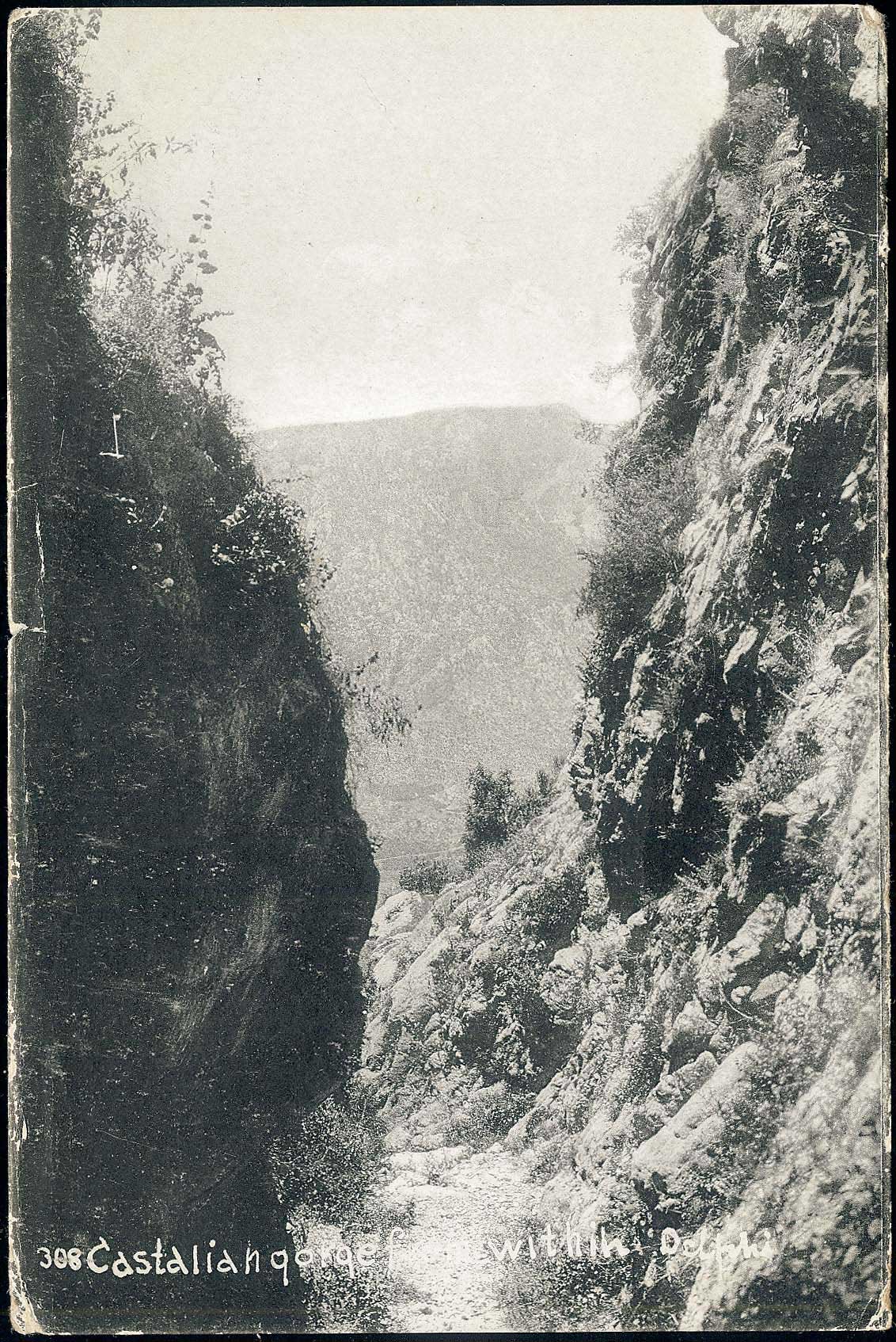 Lot 01546