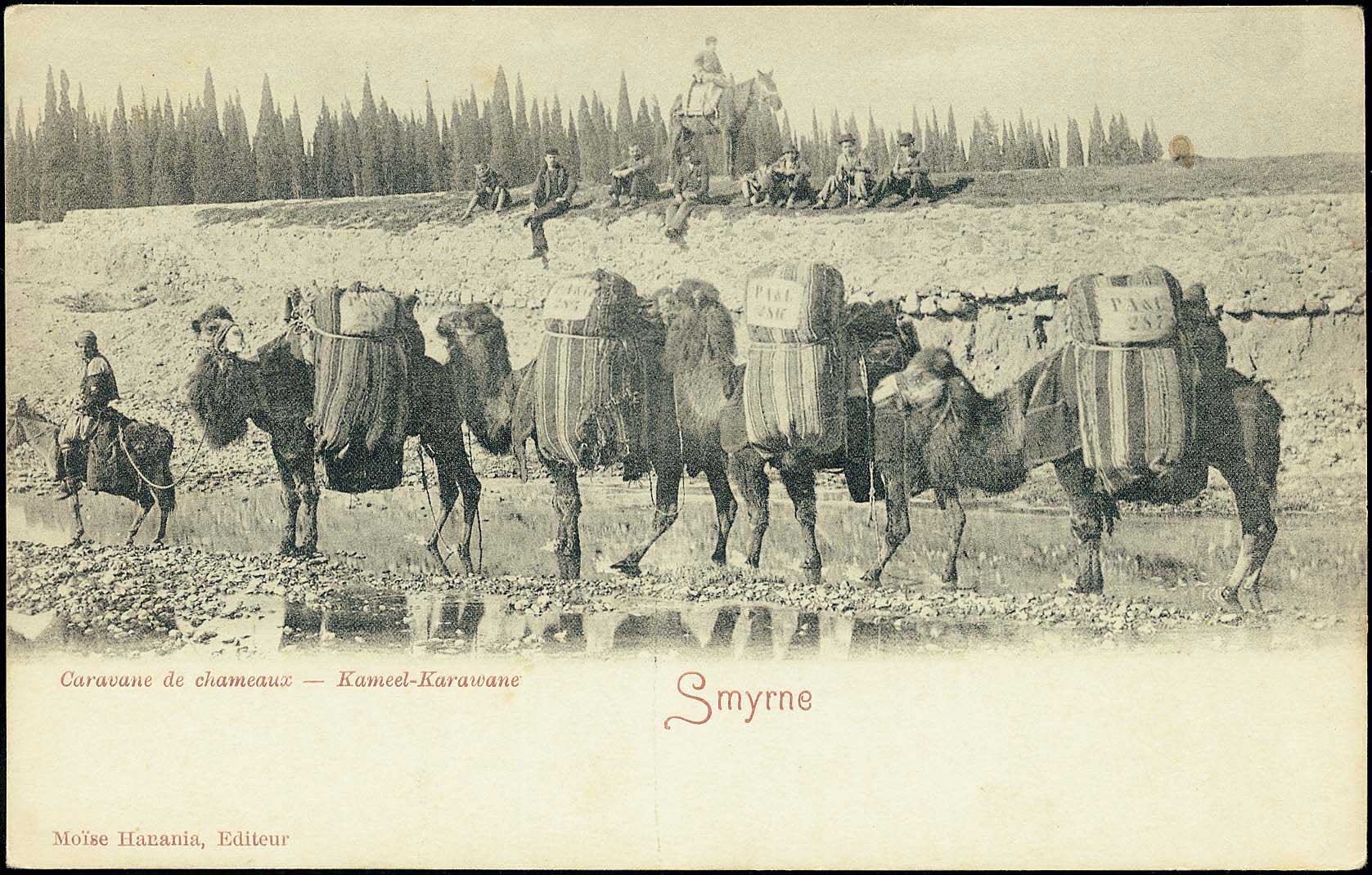 Lot 01918