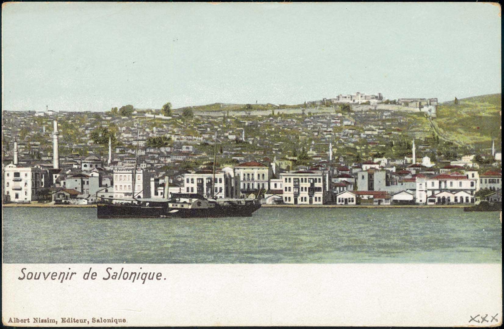 Lot 01736