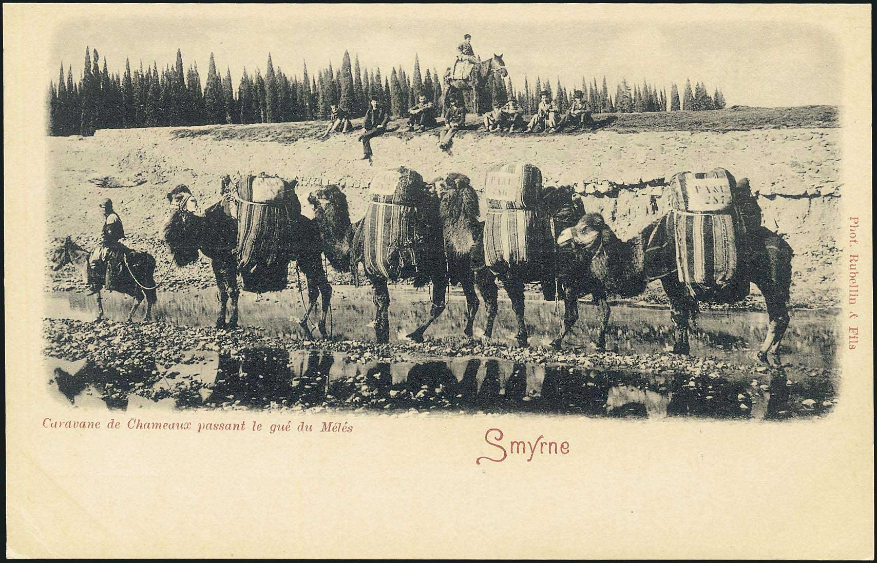 Lot 01780