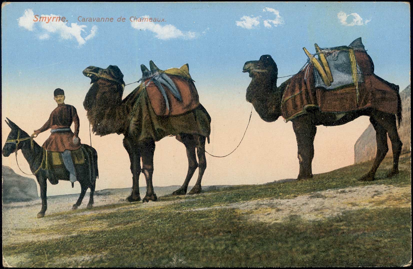 Lot 01814