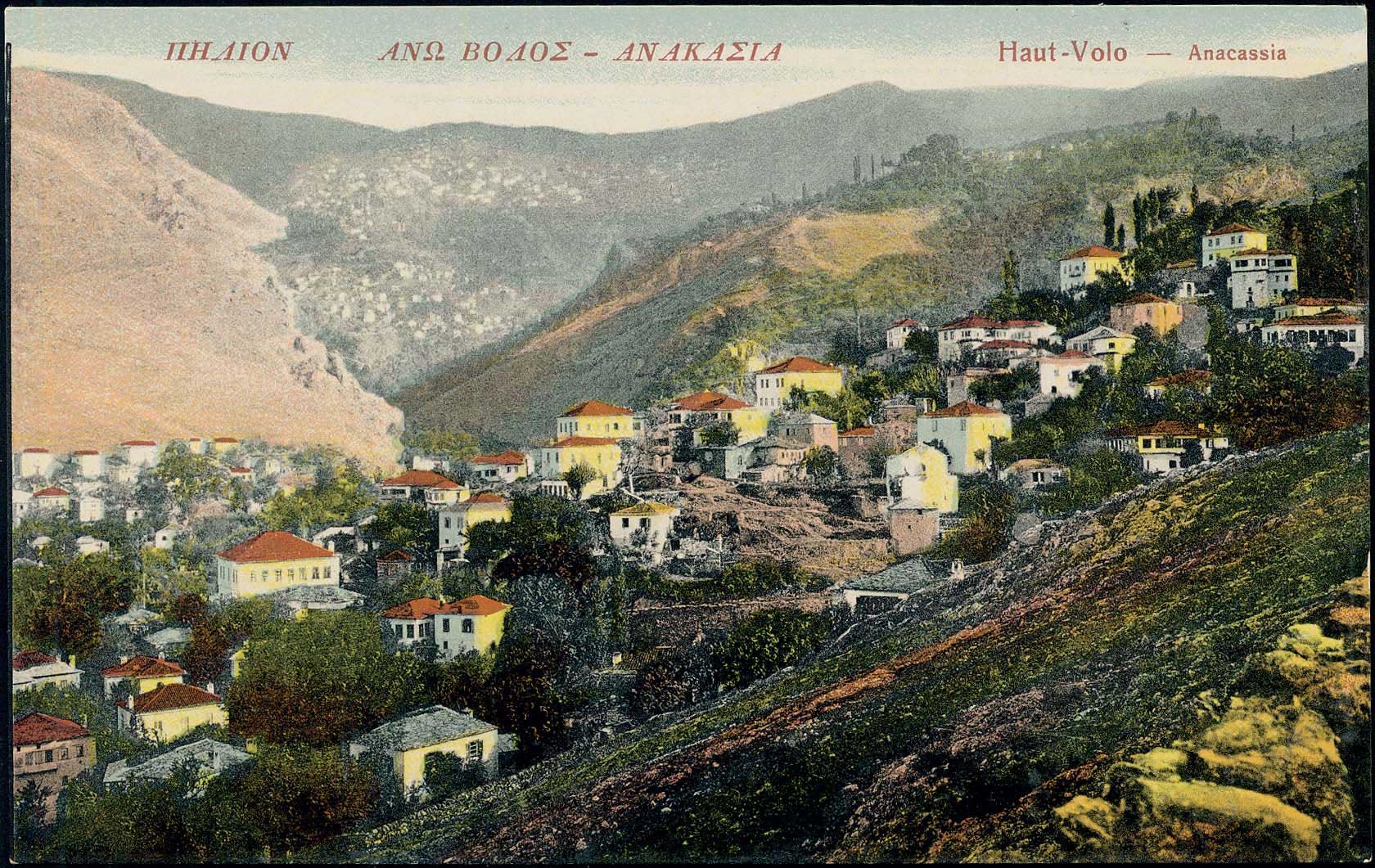 Lot 01558