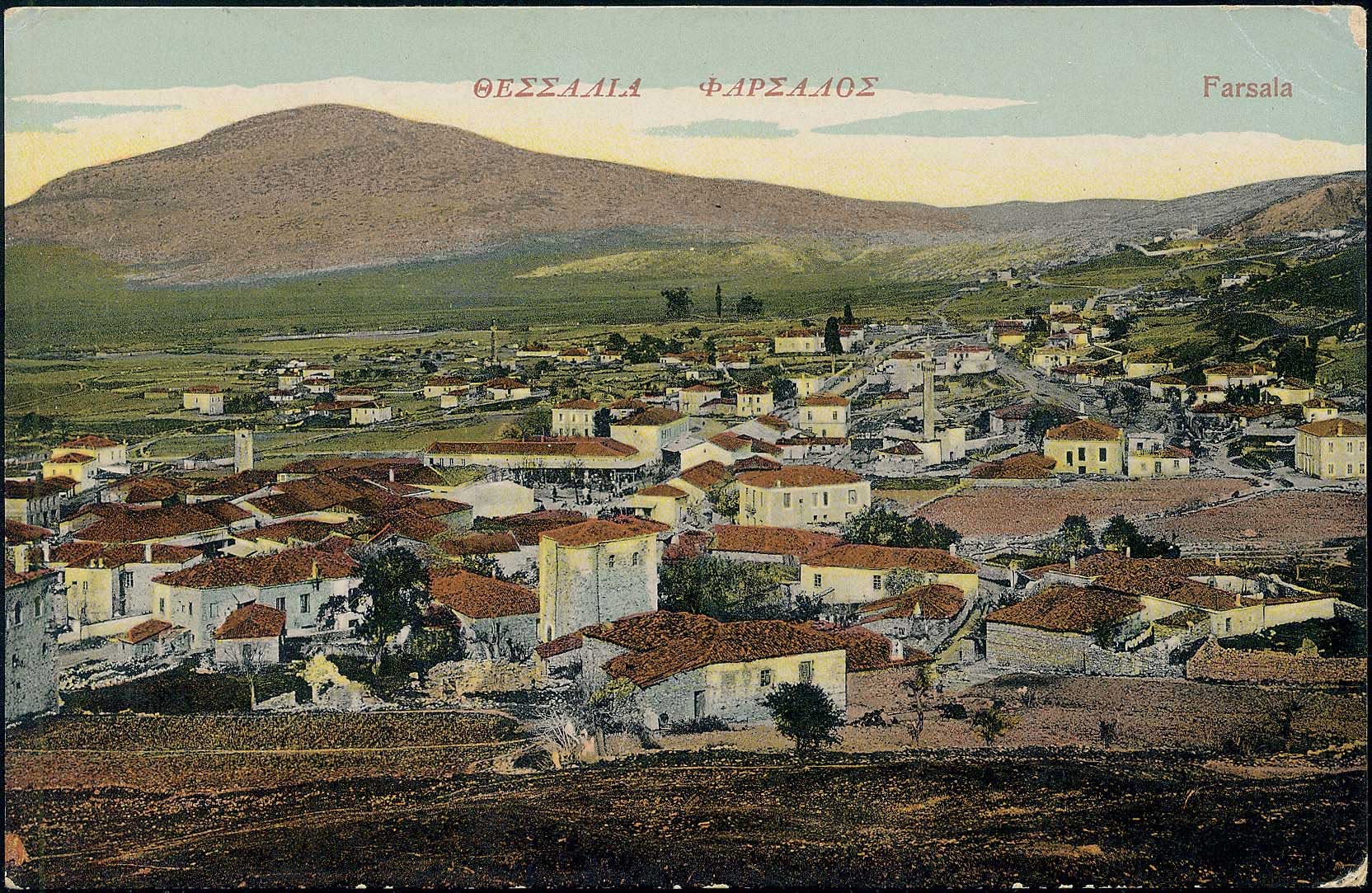 Lot 01544