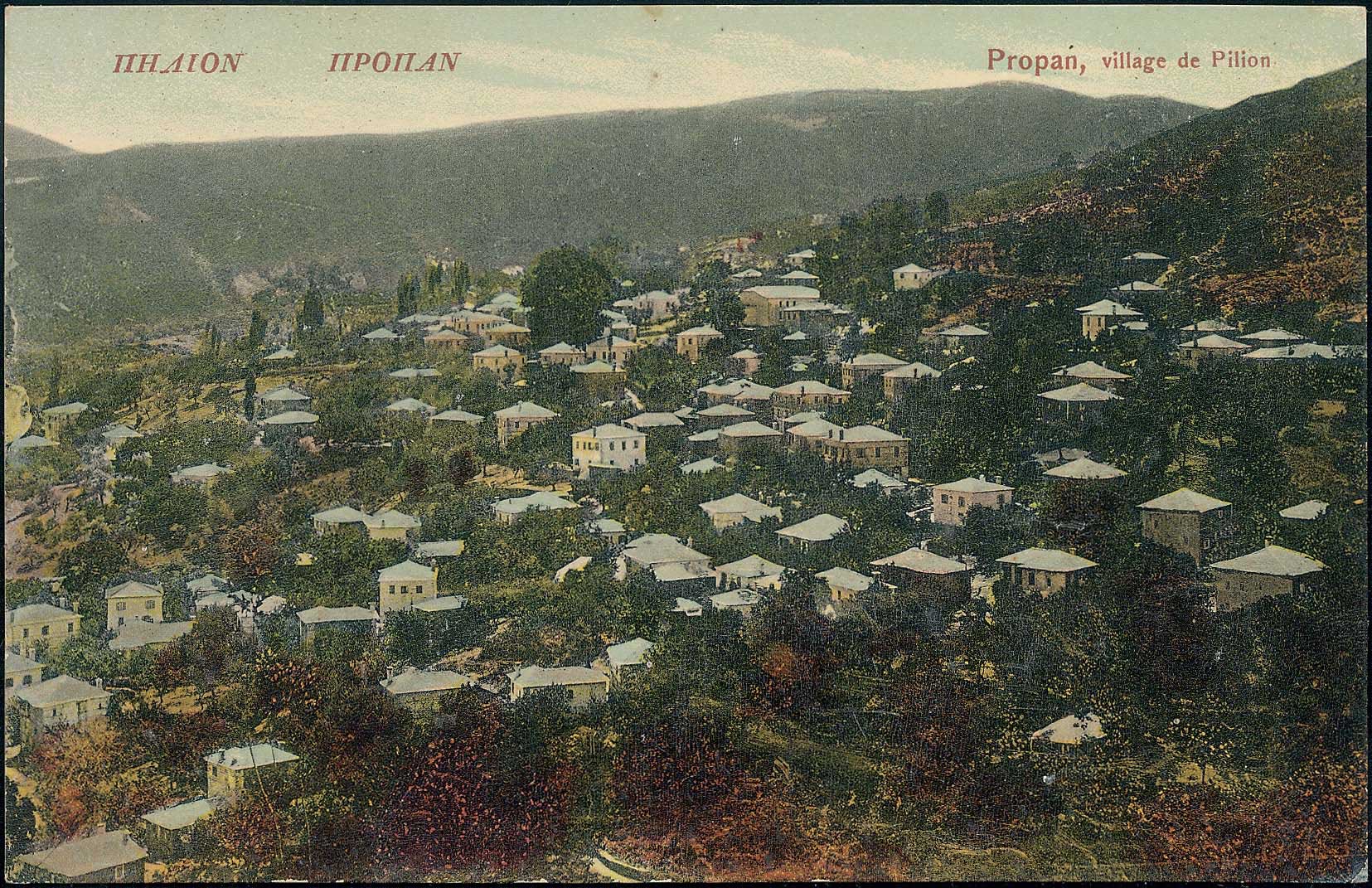Lot 01563