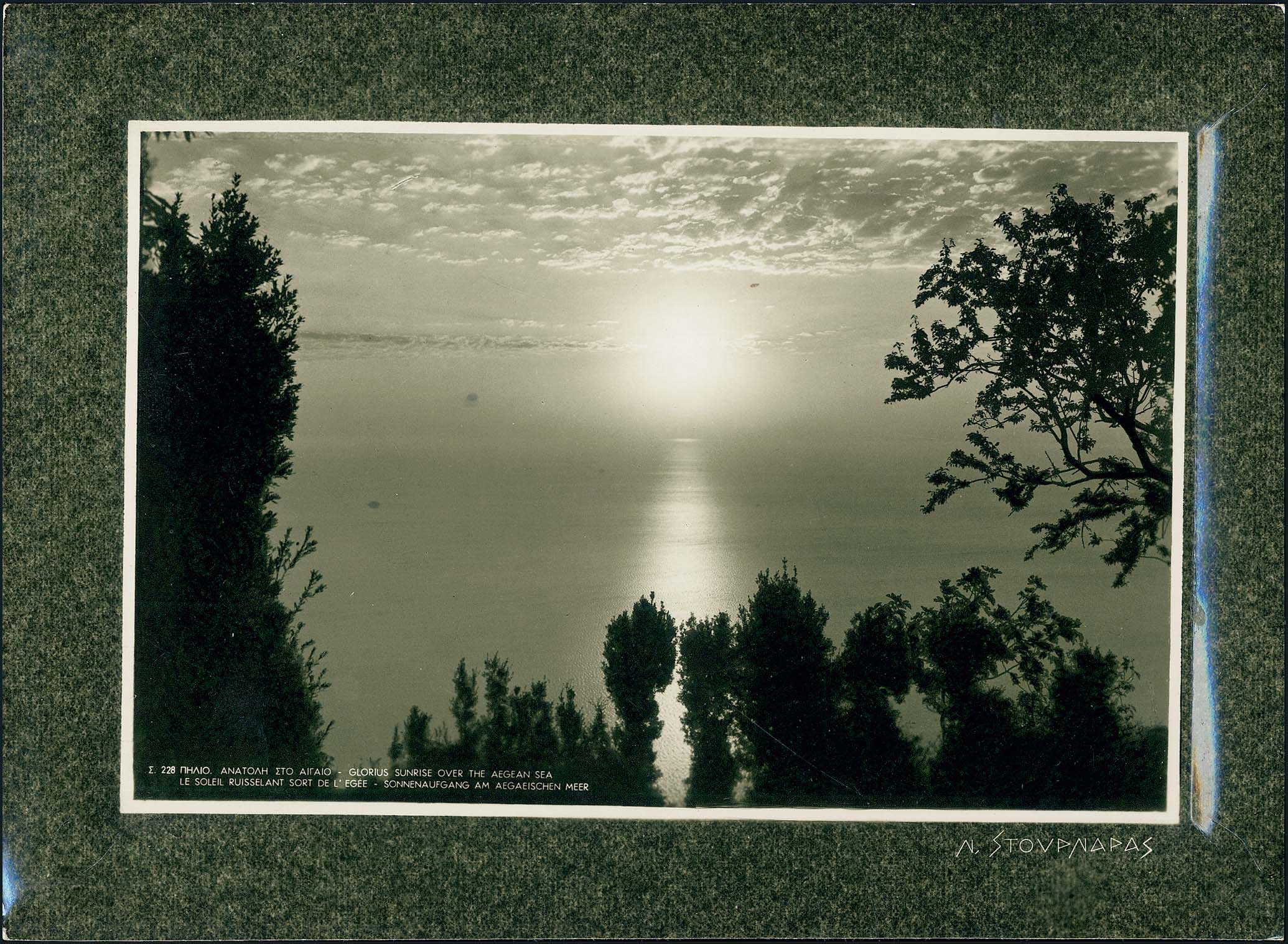 Lot 02231