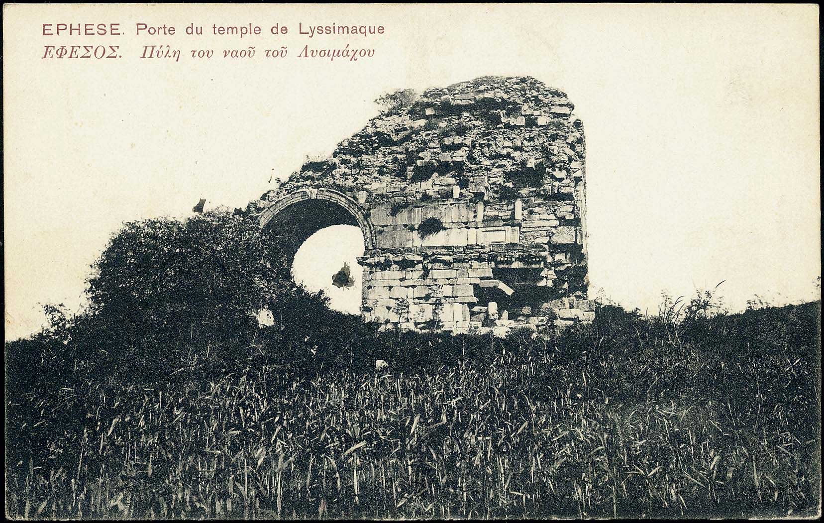 Lot 07193