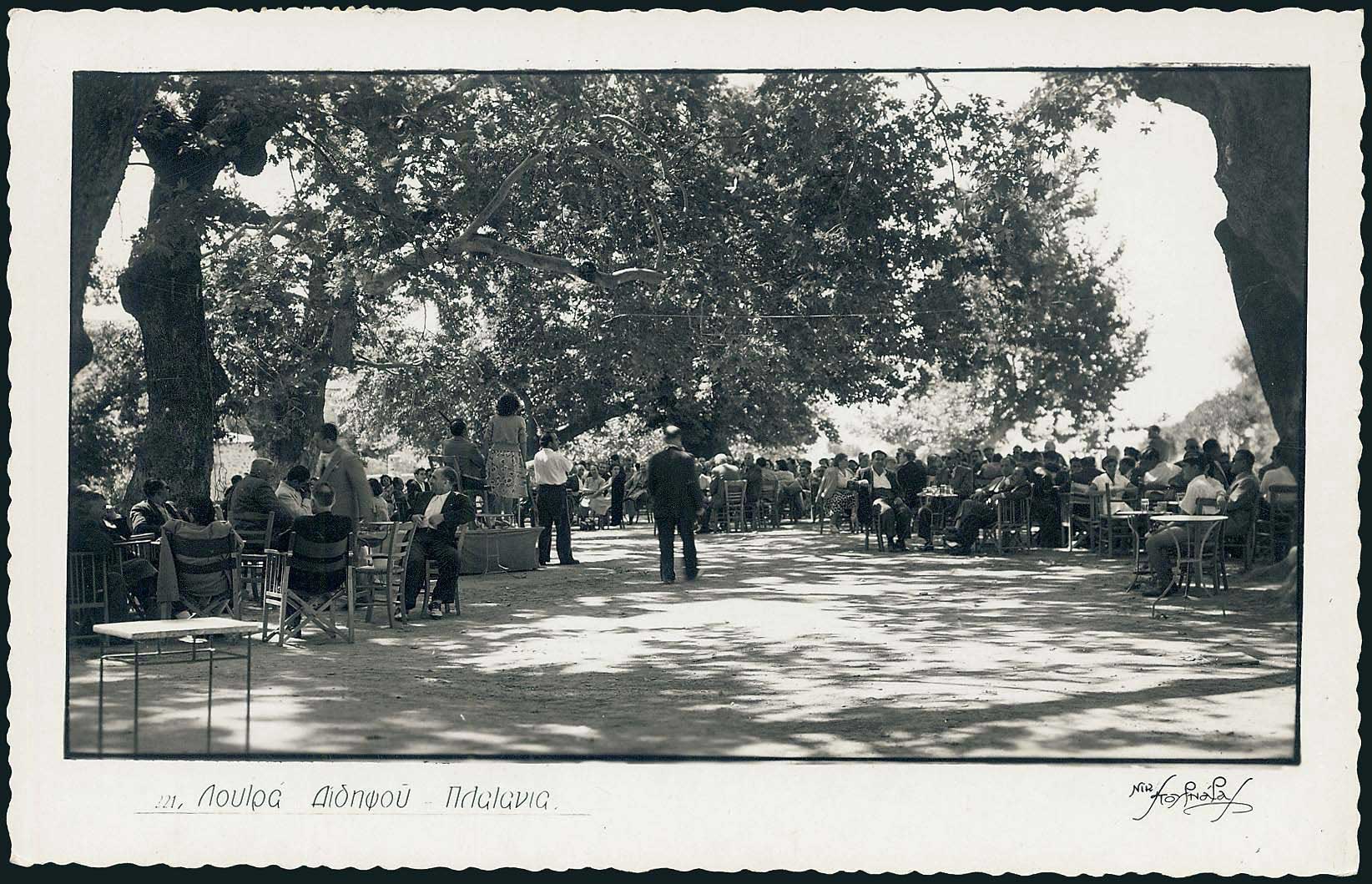 Lot 01481