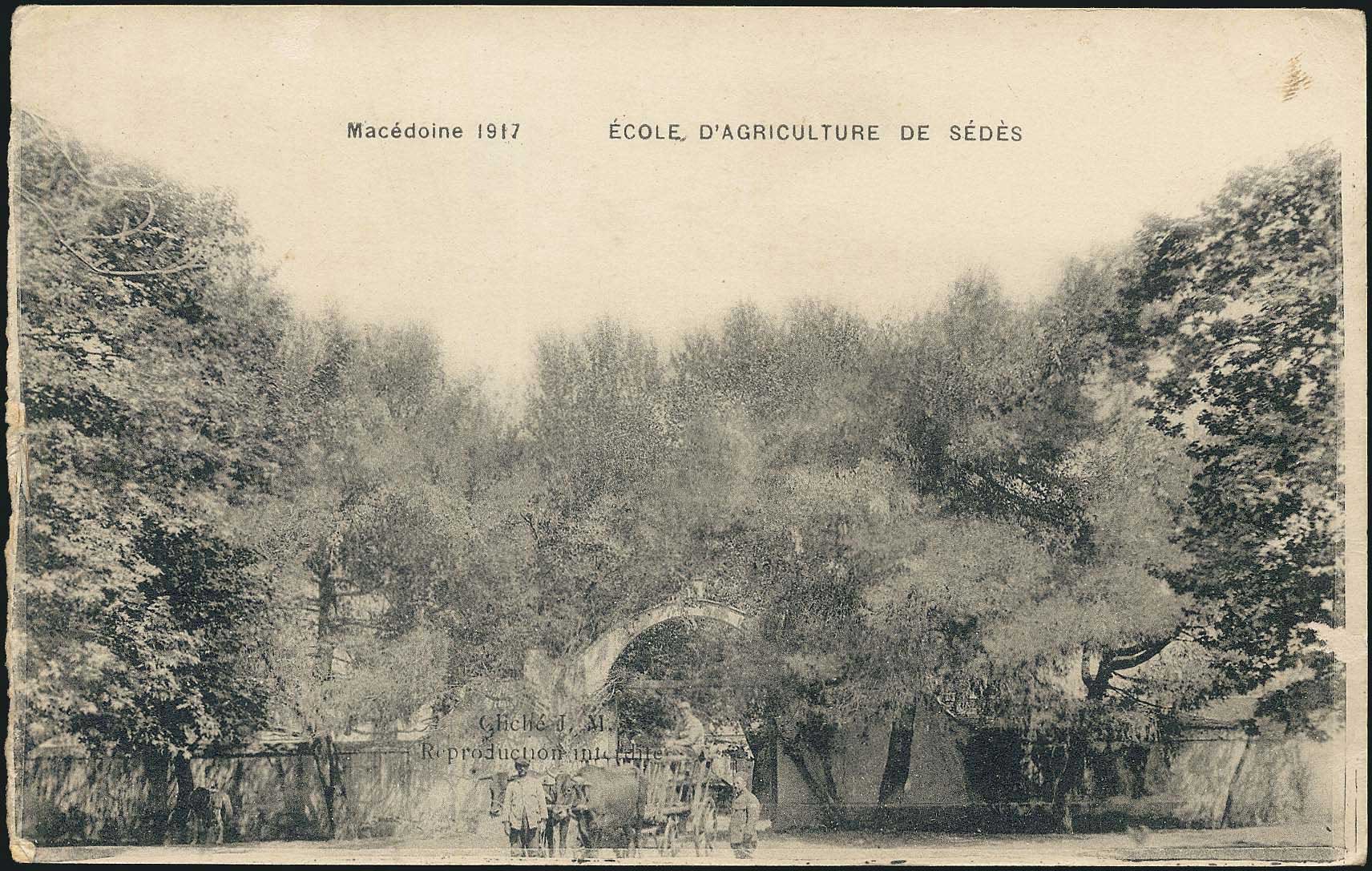 Lot 01655