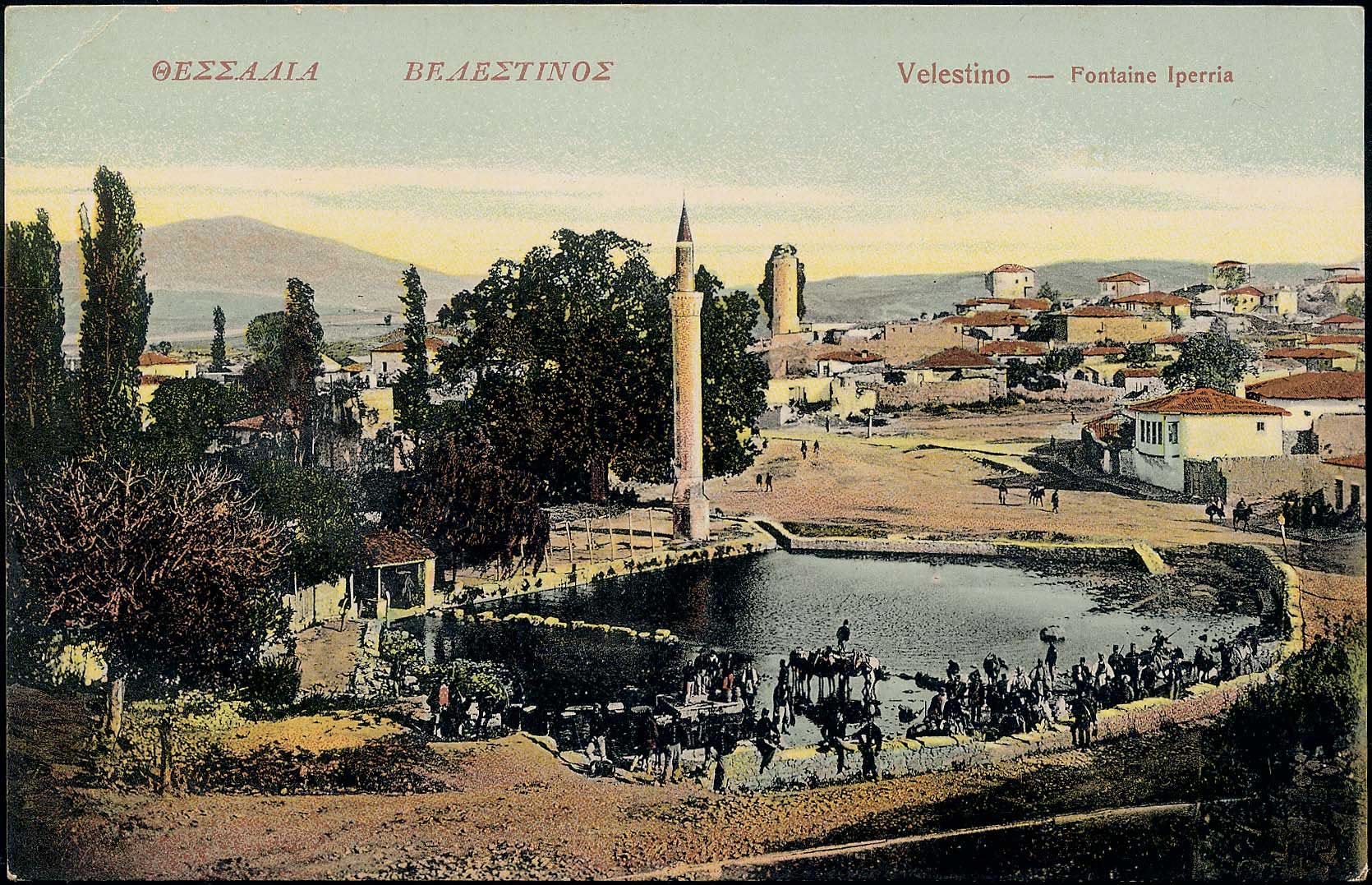 Lot 01921