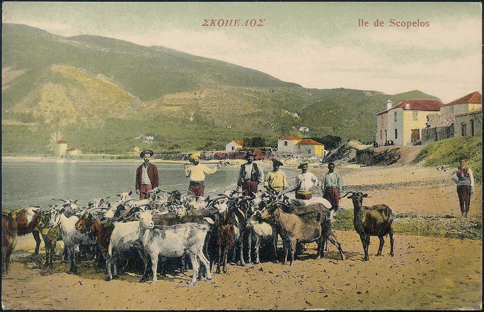 Lot 03155