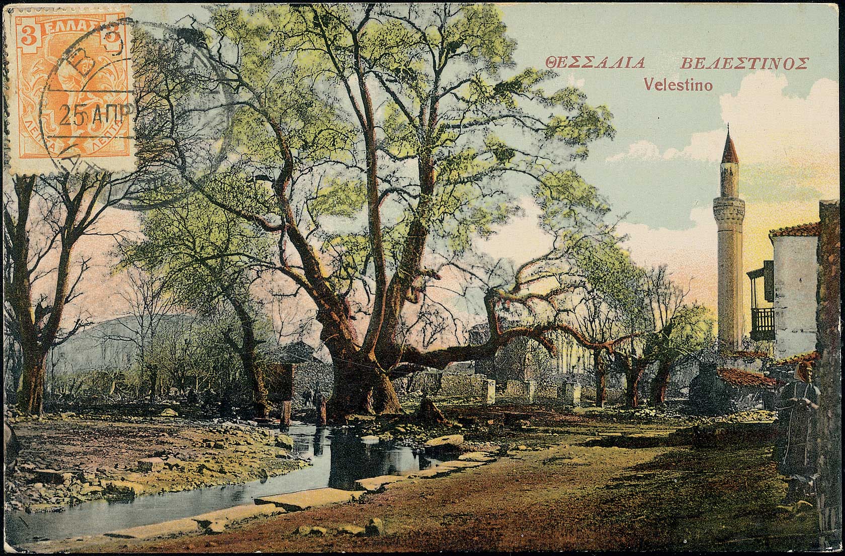 Lot 01428