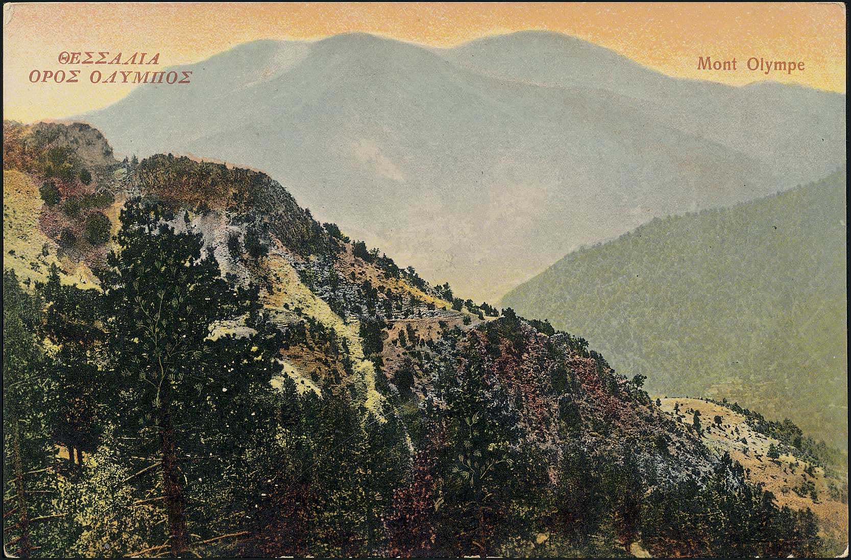 Lot 01486