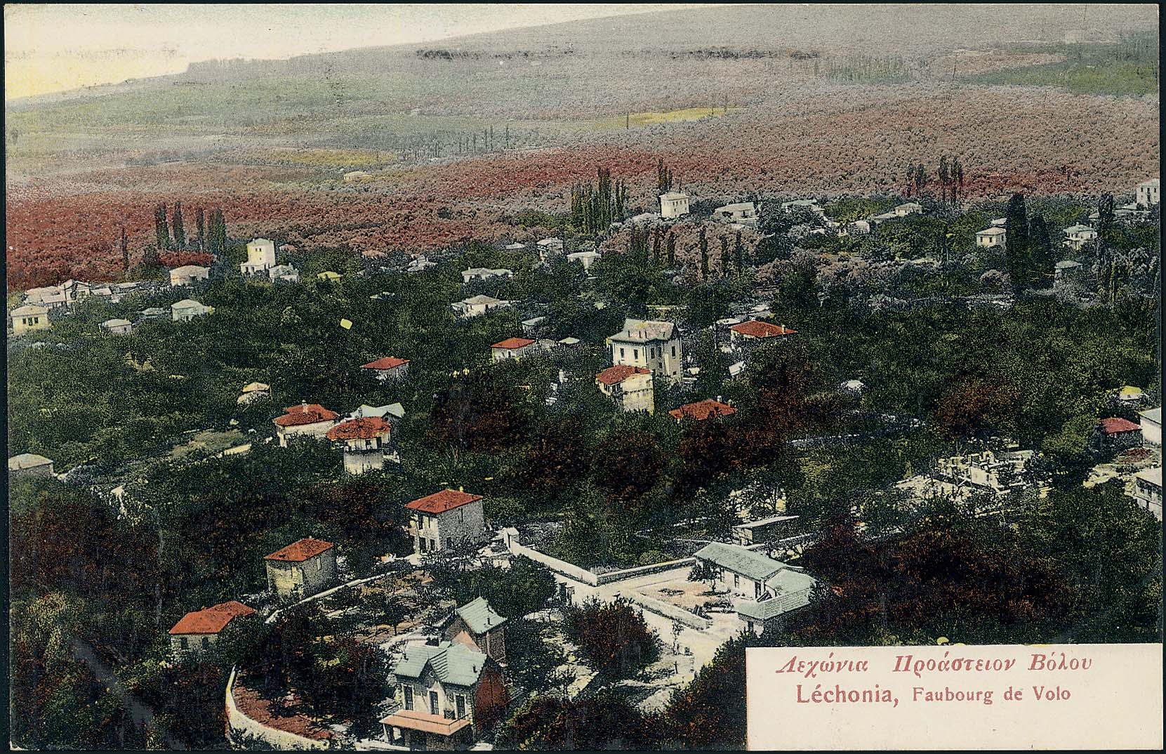 Lot 01458