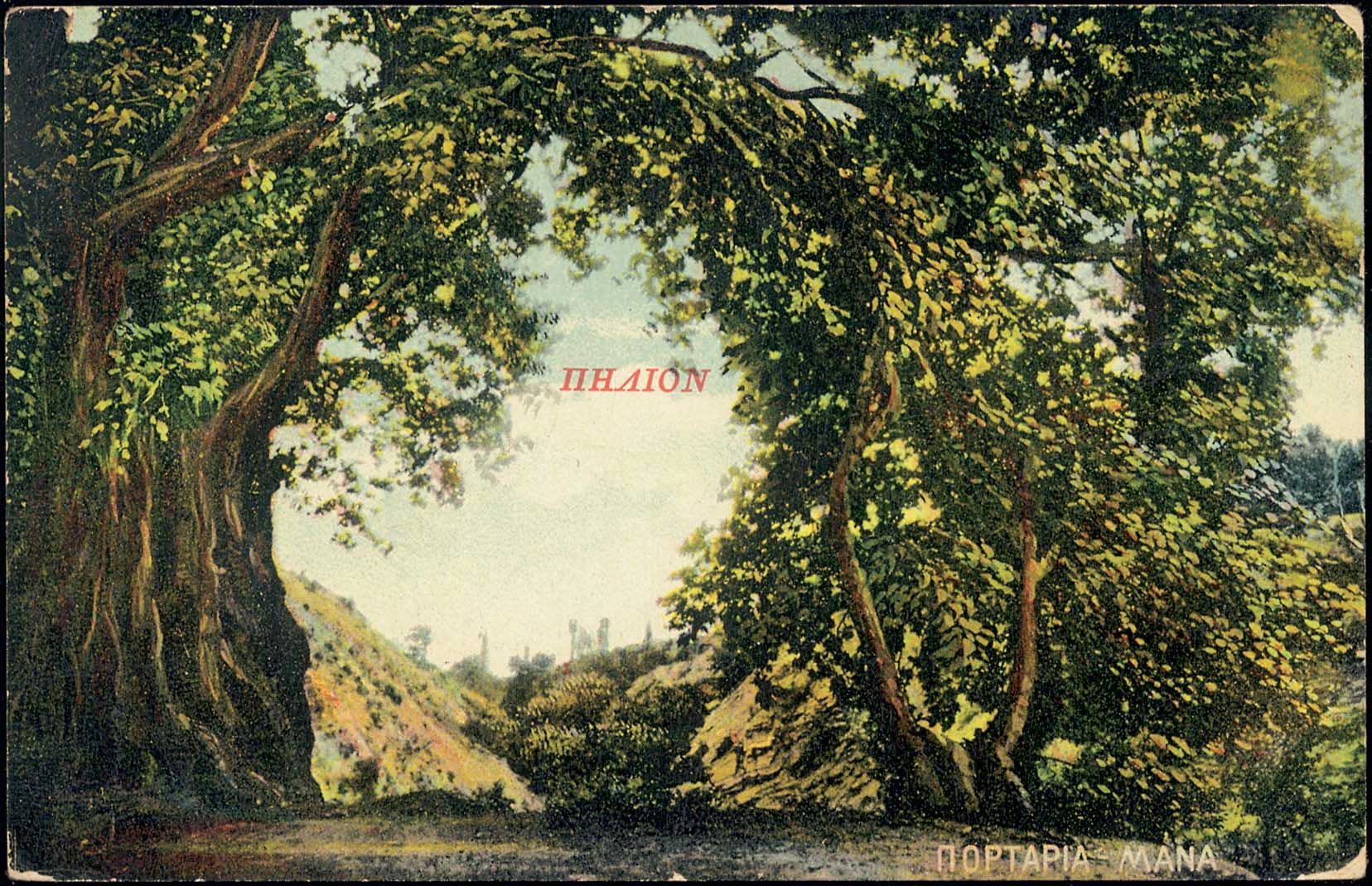Lot 01435