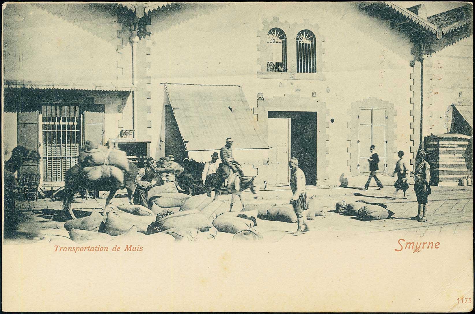 Lot 03633
