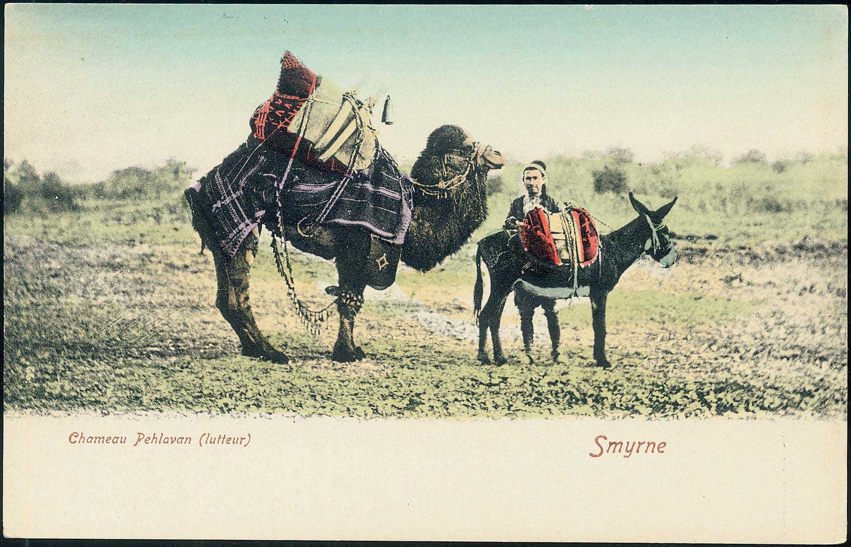 Lot 07184