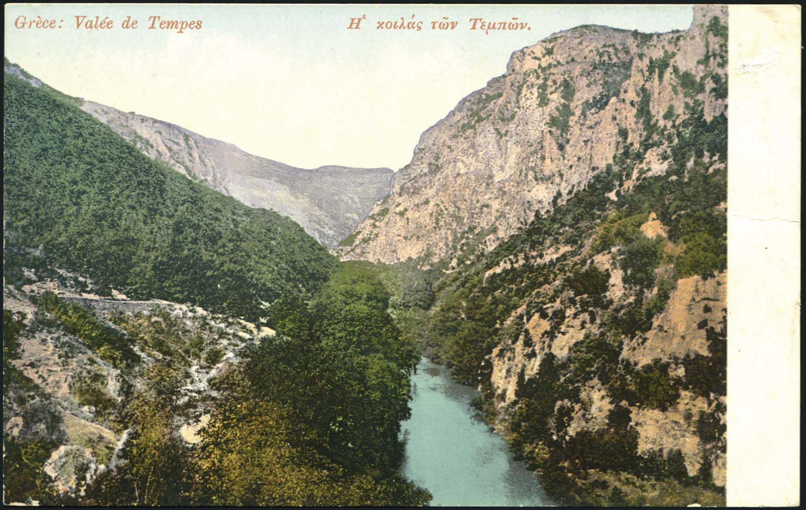Lot 01437