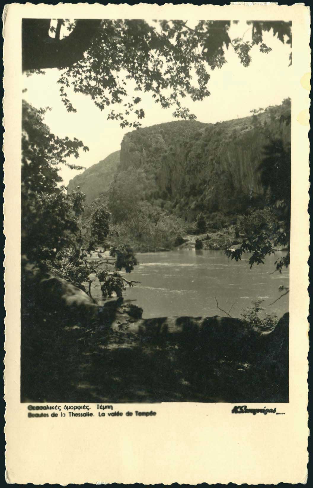 Lot 02271