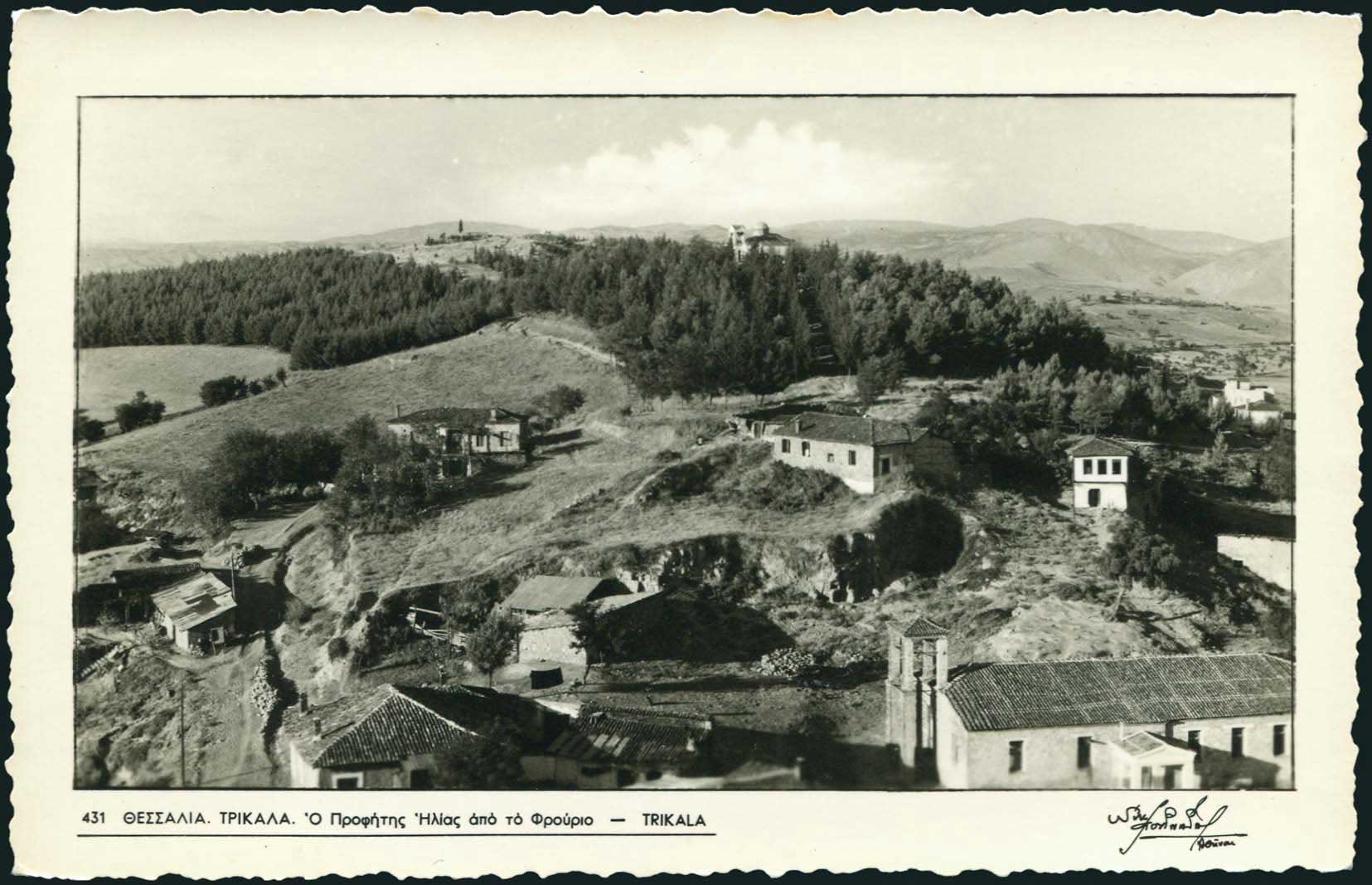 Lot 01772