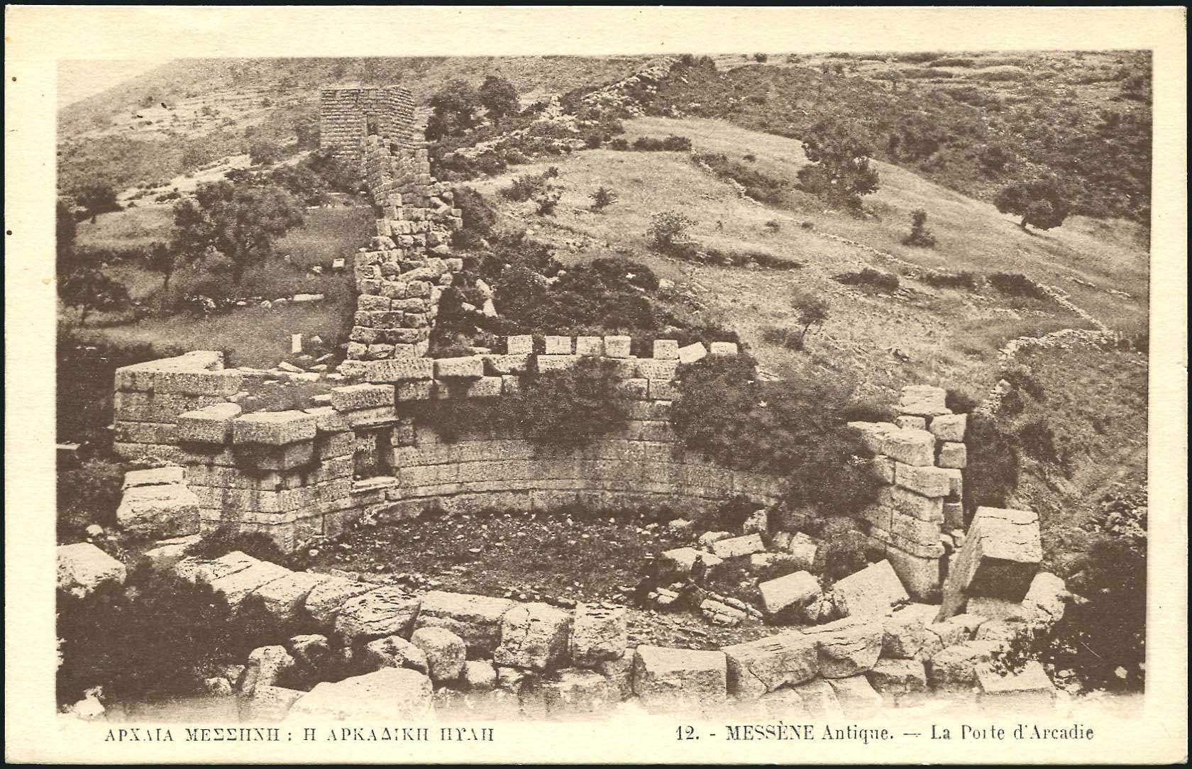 Lot 01315