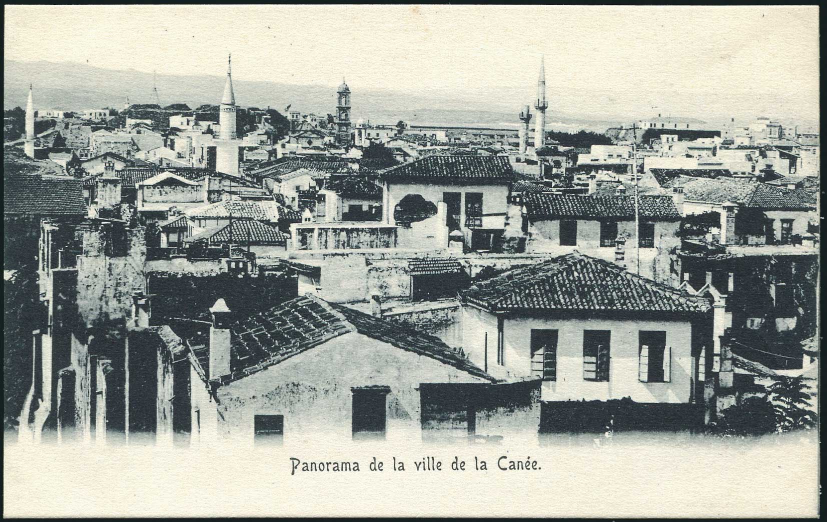 Lot 01339