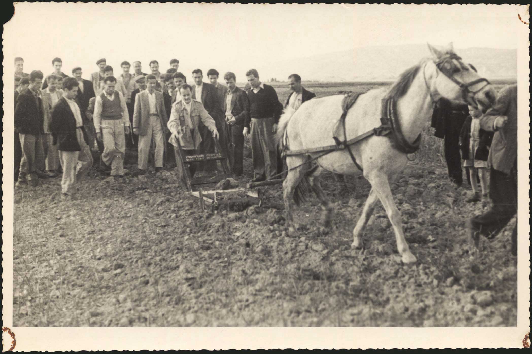 Lot 03154