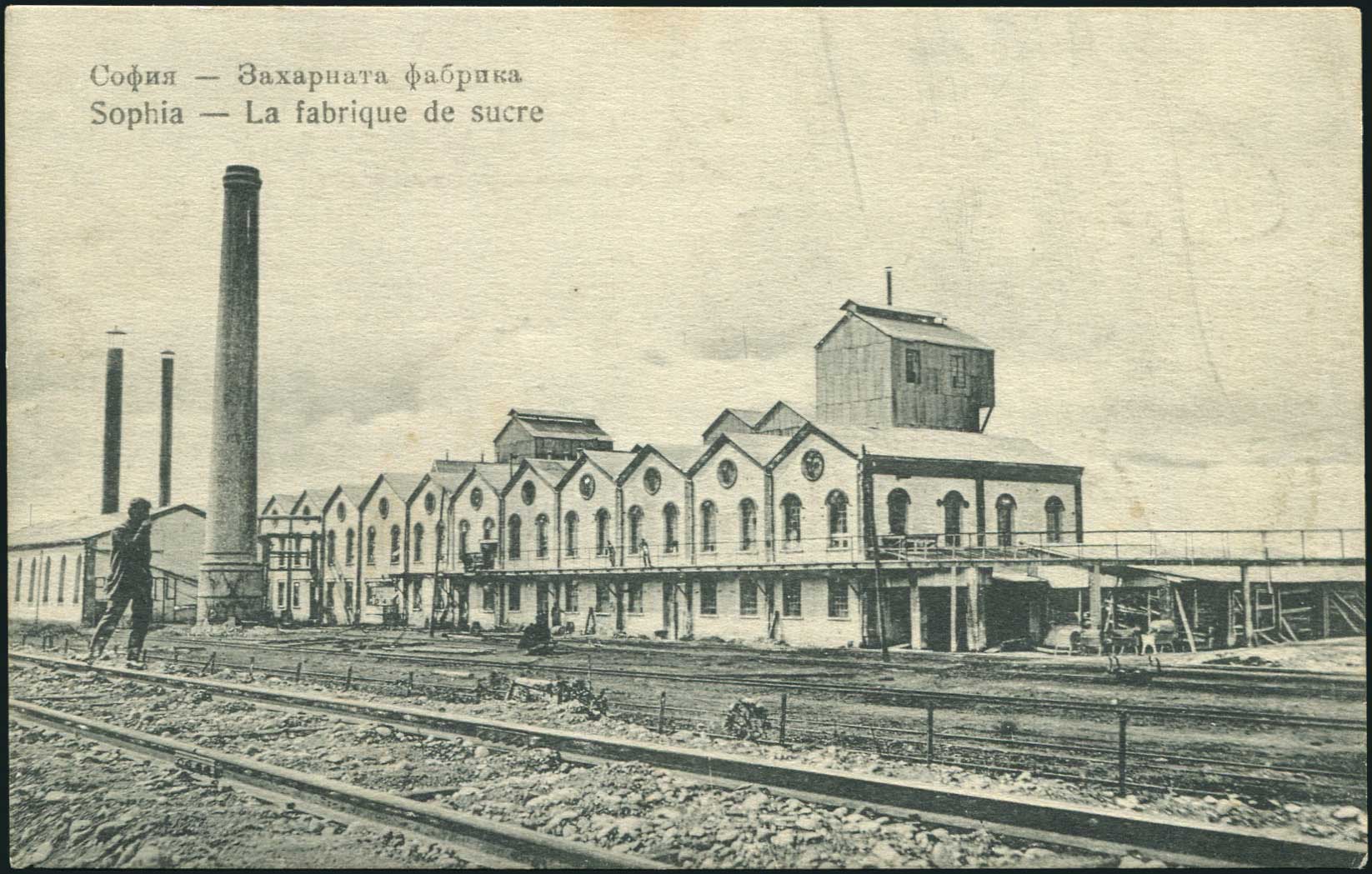 Lot 01910