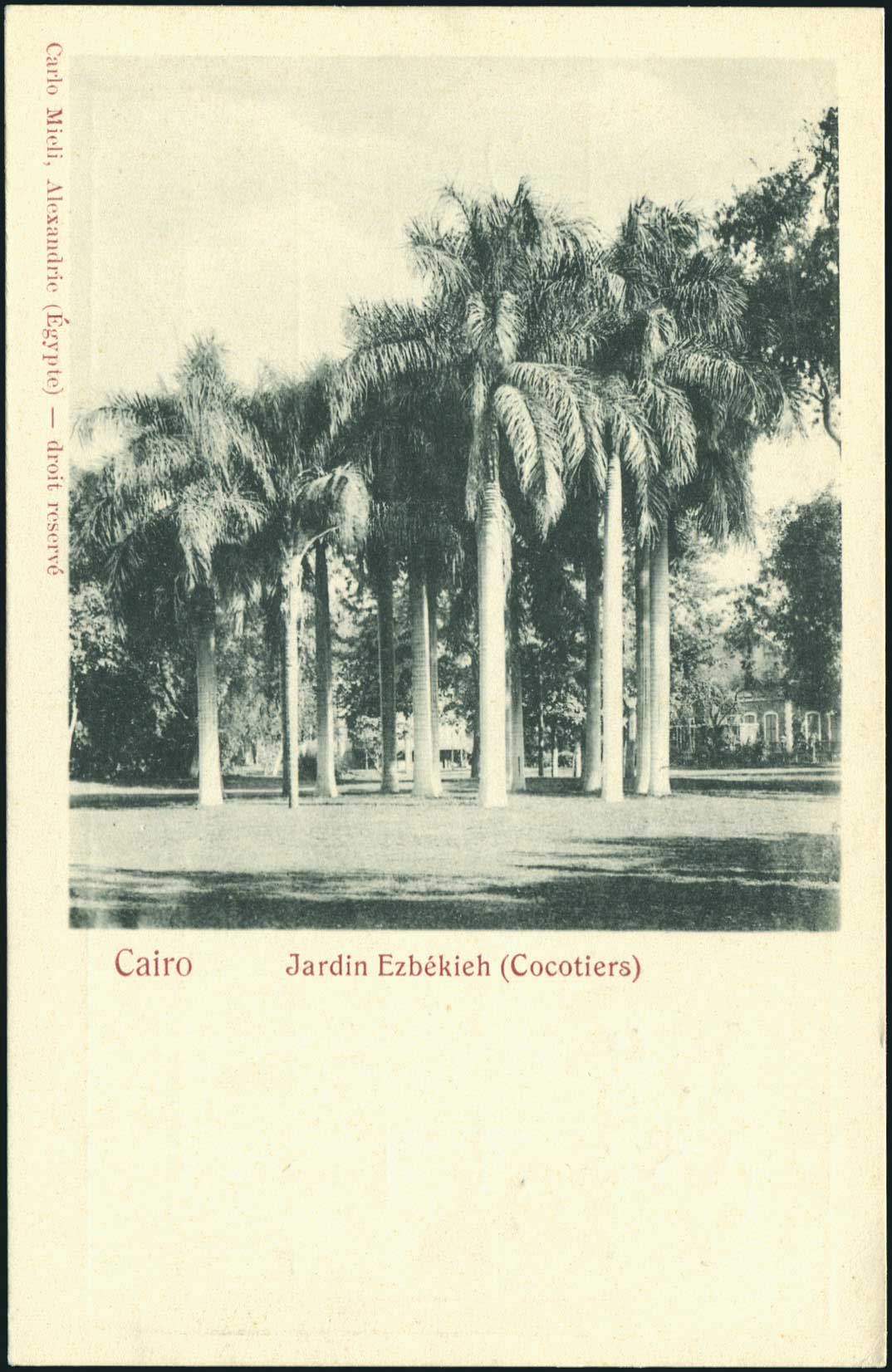 Lot 01960