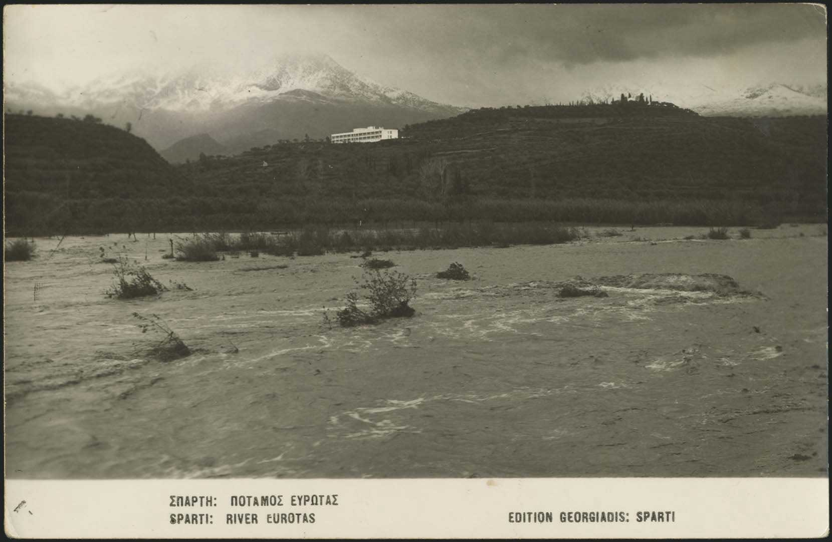 Lot 01877