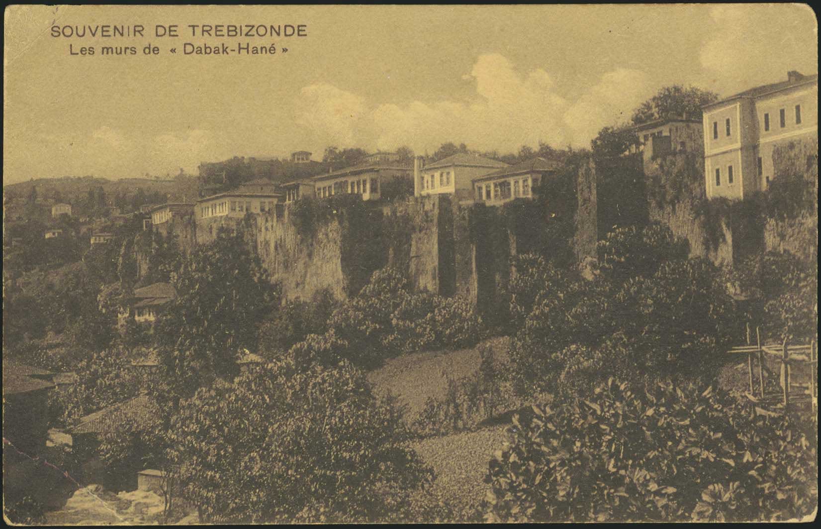 Lot 07207