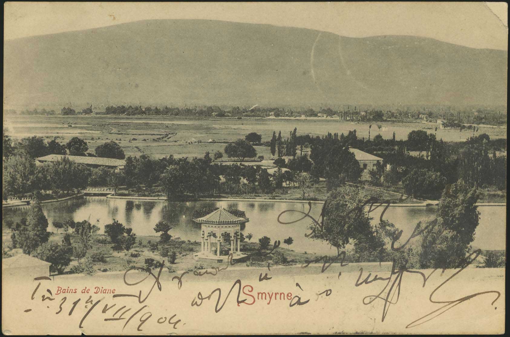 Lot 04981