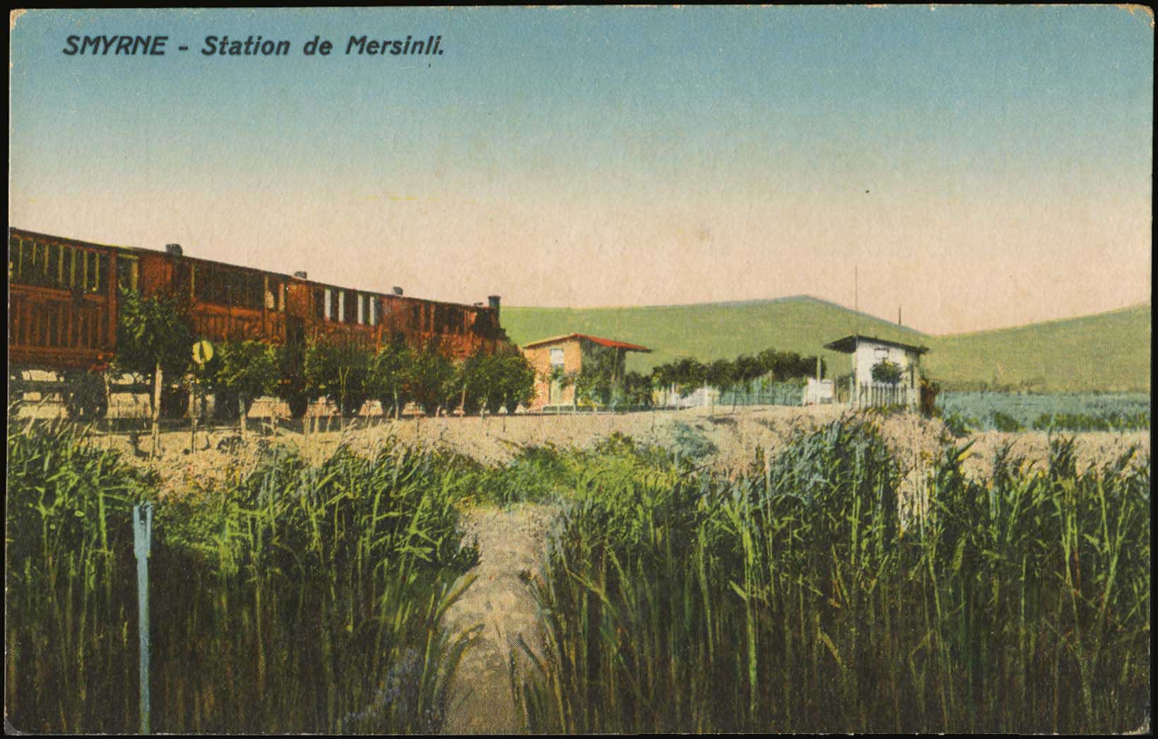 Lot 02359