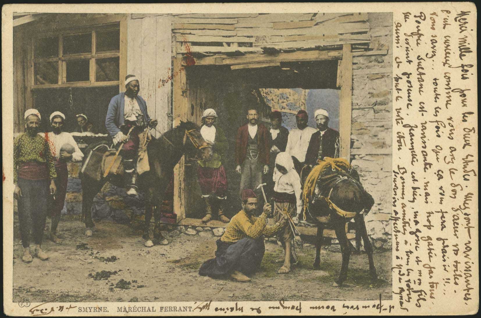 Lot 02919